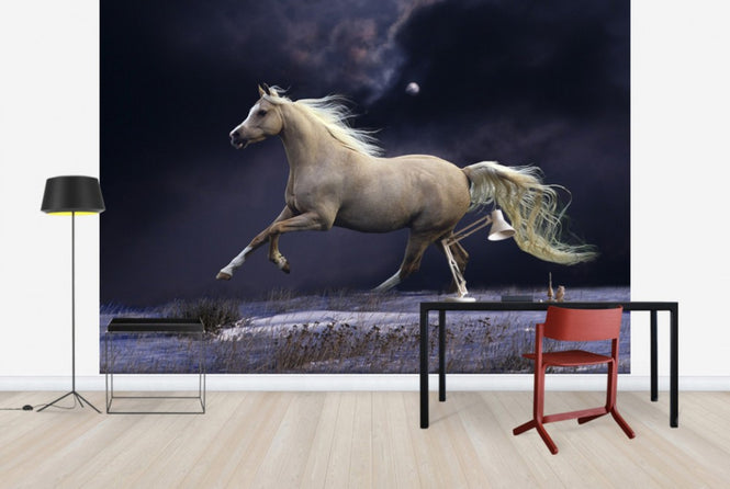 PHOTOWALL / Horse in Moonlight (e29612)