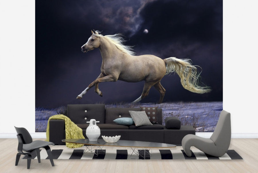 PHOTOWALL / Horse in Moonlight (e29612)