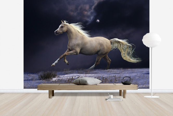 PHOTOWALL / Horse in Moonlight (e29612)