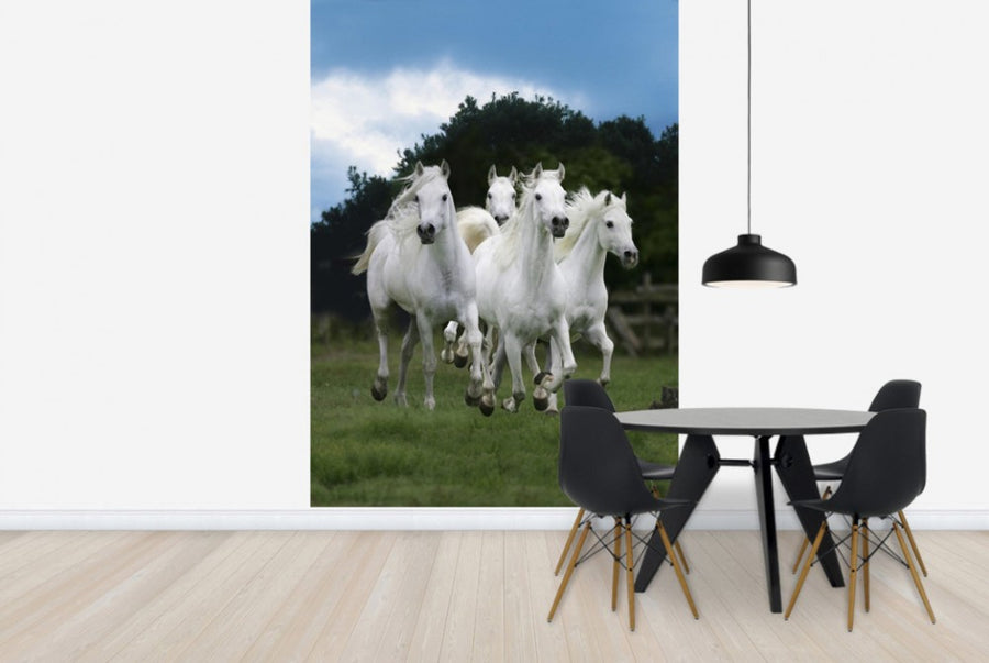 PHOTOWALL / Shining White Horses (e29614)
