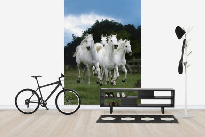 PHOTOWALL / Shining White Horses (e29614)