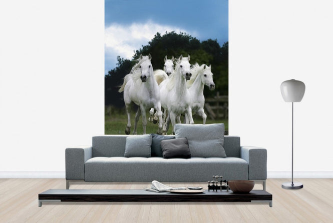PHOTOWALL / Shining White Horses (e29614)