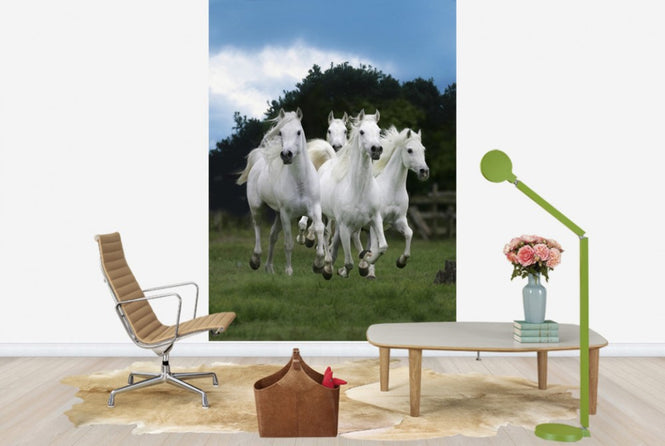 PHOTOWALL / Shining White Horses (e29614)