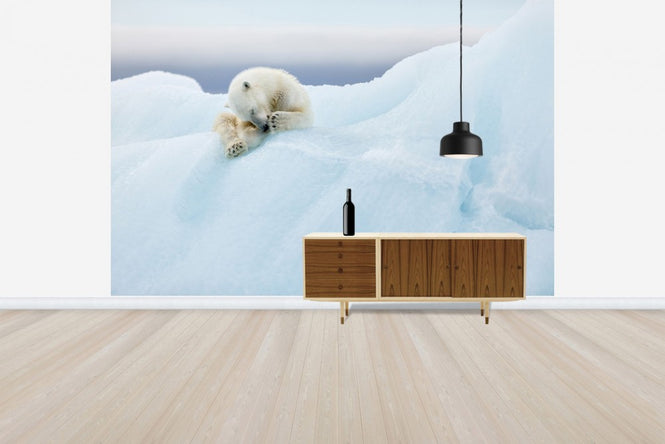 PHOTOWALL / Polar Bear Grooming (e29626)