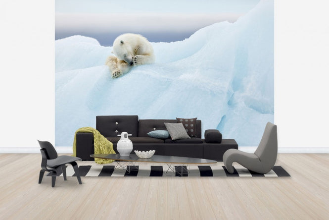 PHOTOWALL / Polar Bear Grooming (e29626)