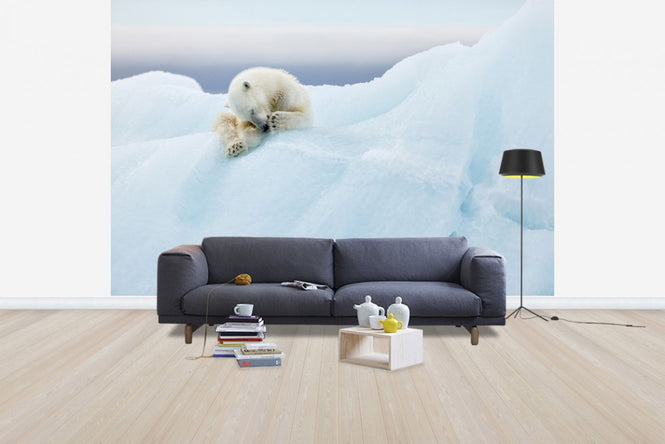 PHOTOWALL / Polar Bear Grooming (e29626)