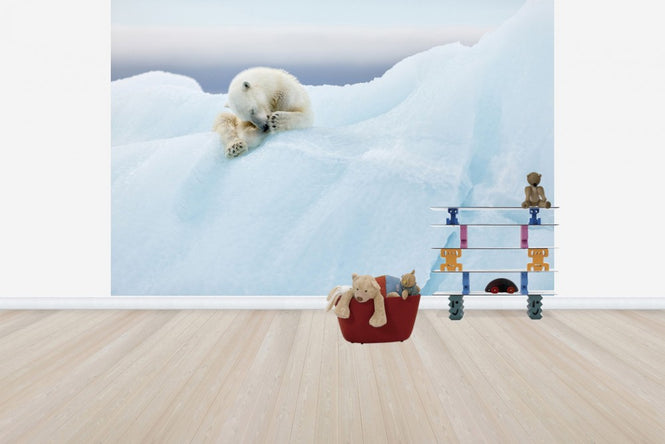 PHOTOWALL / Polar Bear Grooming (e29626)