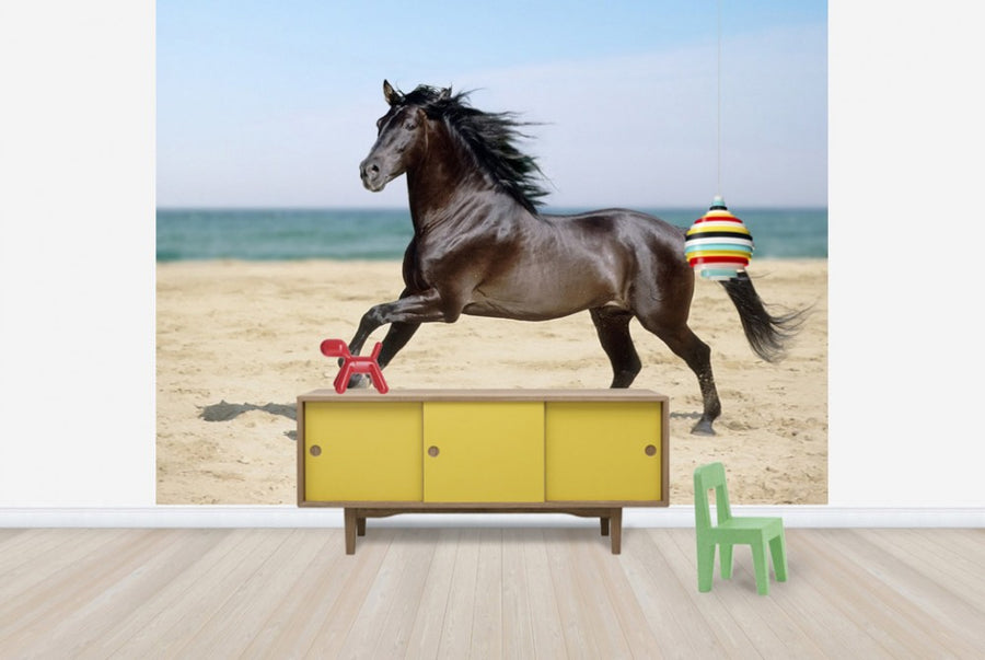 PHOTOWALL / Beach Horse (e29575)