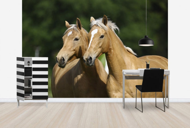 PHOTOWALL / Horse Friends (e29581)