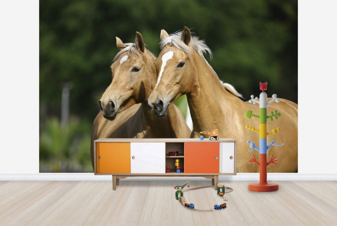PHOTOWALL / Horse Friends (e29581)