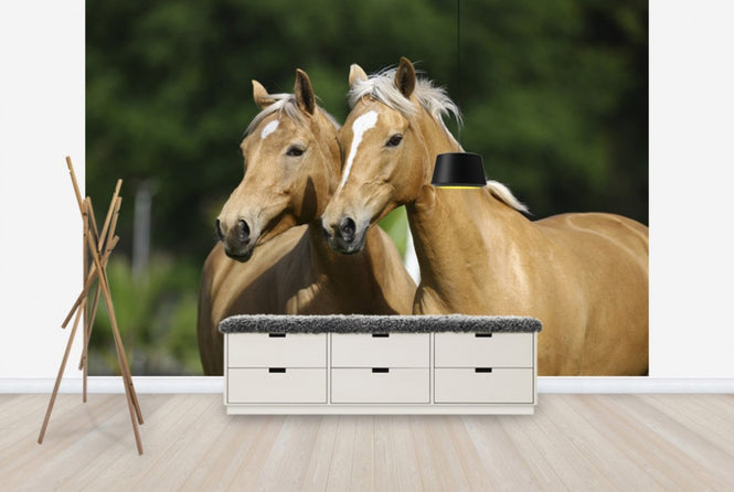 PHOTOWALL / Horse Friends (e29581)