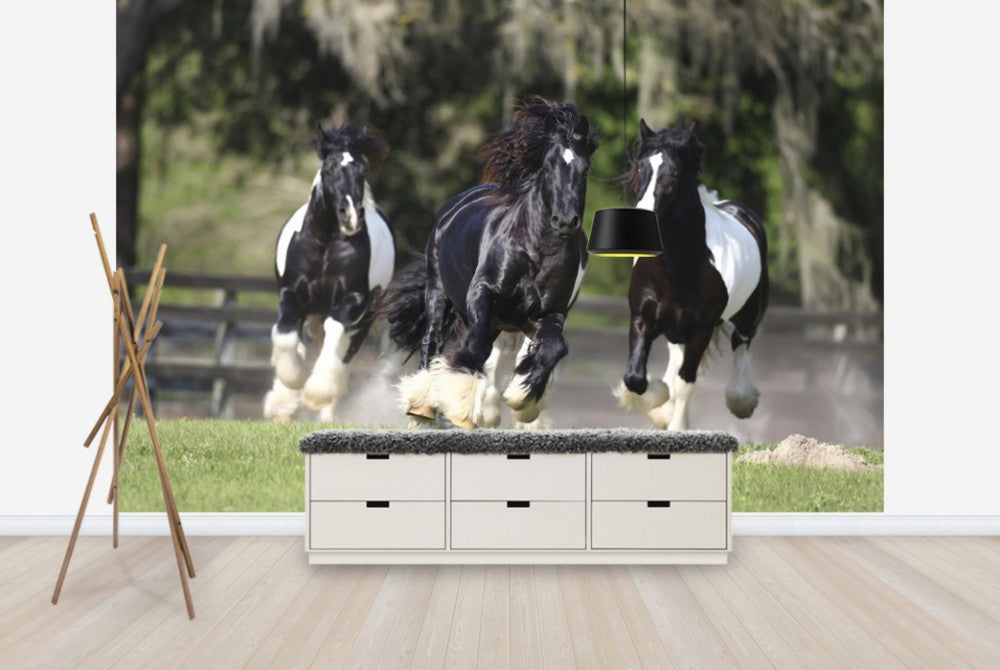 PHOTOWALL / Horse Team (e29584) | 輸入壁紙専門店 WALPA