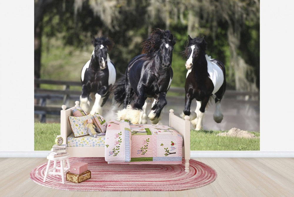PHOTOWALL / Horse Team (e29584) | 輸入壁紙専門店 WALPA