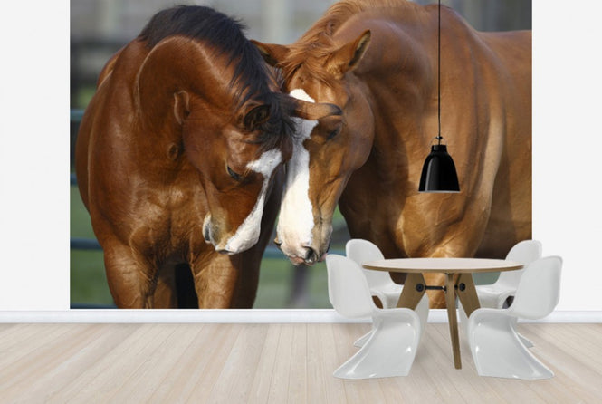 PHOTOWALL / Horses in Love (e29585)