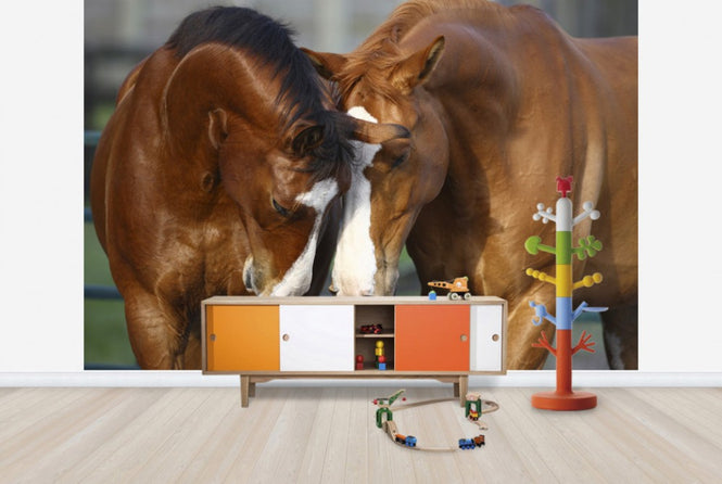 PHOTOWALL / Horses in Love (e29585)
