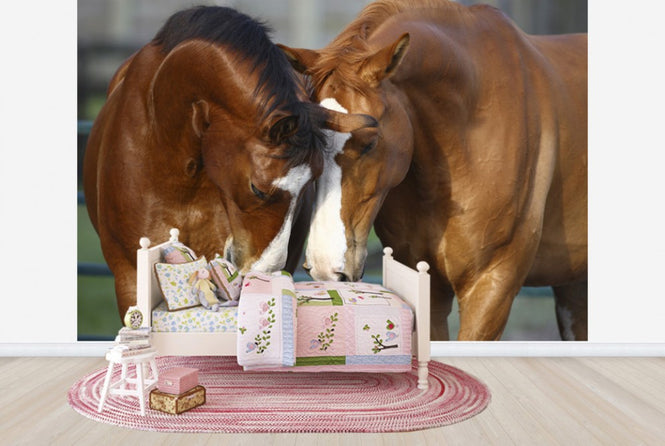 PHOTOWALL / Horses in Love (e29585)