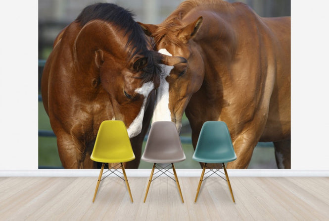 PHOTOWALL / Horses in Love (e29585)