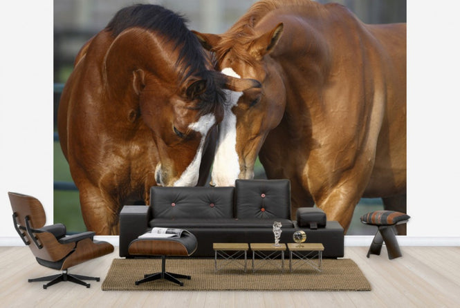 PHOTOWALL / Horses in Love (e29585)