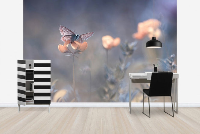 PHOTOWALL / The Lady of Lothlorien (e29632)