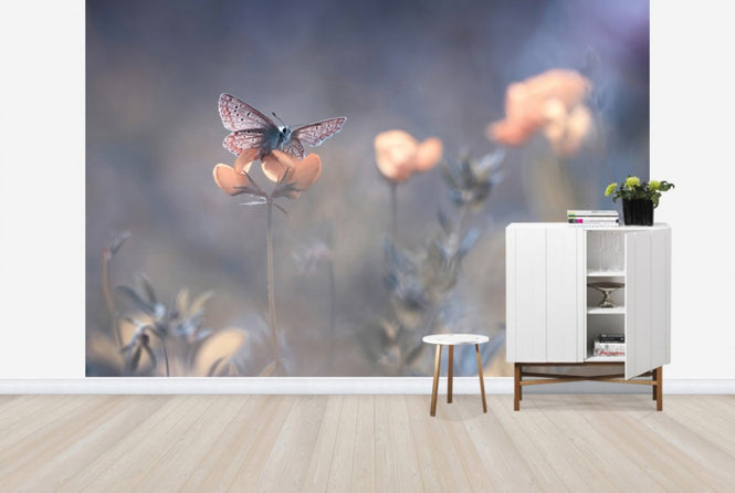 PHOTOWALL / The Lady of Lothlorien (e29632)