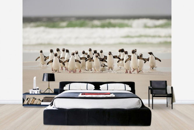 PHOTOWALL / Desembarco (e29637)