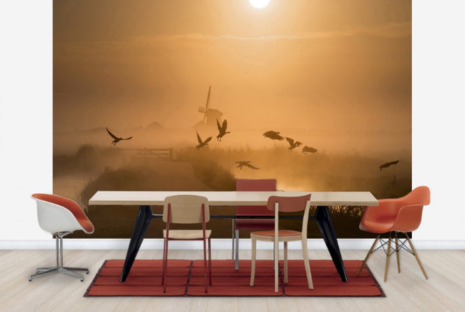 PHOTOWALL / Sunrise Flight (e29640)