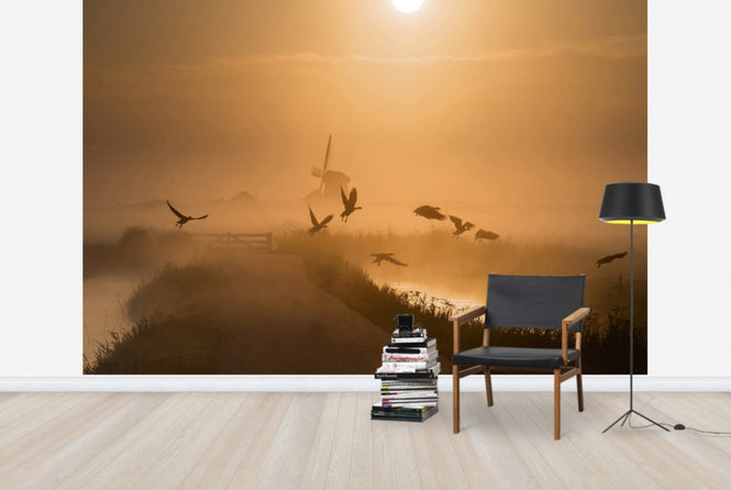 PHOTOWALL / Sunrise Flight (e29640)