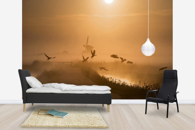 PHOTOWALL / Sunrise Flight (e29640)