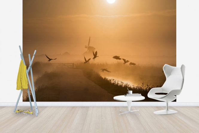 PHOTOWALL / Sunrise Flight (e29640)