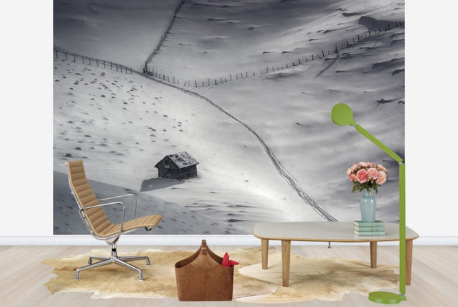 PHOTOWALL / Winter Light (e29682)