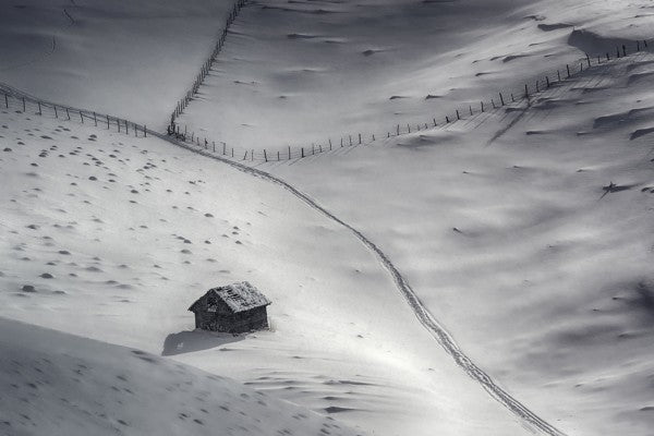 PHOTOWALL / Winter Light (e29682)