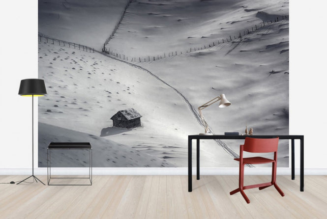PHOTOWALL / Winter Light (e29682)
