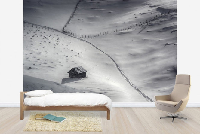 PHOTOWALL / Winter Light (e29682)