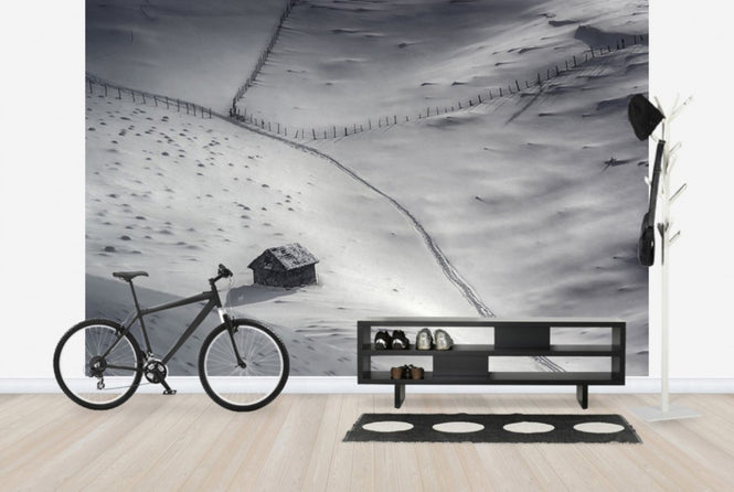 PHOTOWALL / Winter Light (e29682)