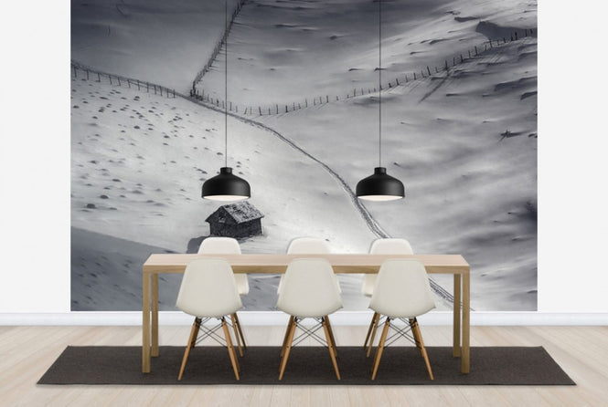 PHOTOWALL / Winter Light (e29682)