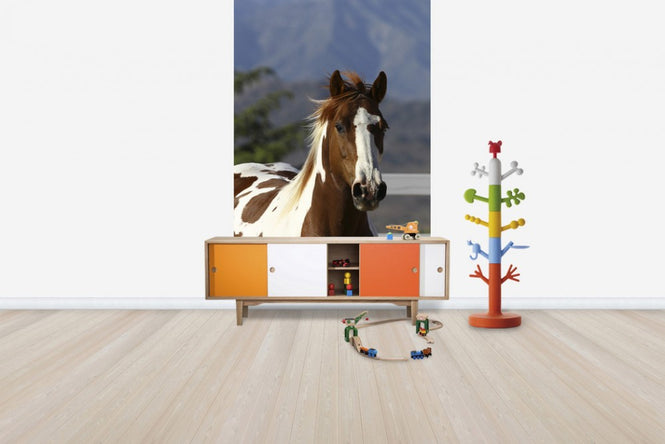 PHOTOWALL / Quarter Horse Close Up I (e29728)