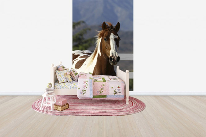 PHOTOWALL / Quarter Horse Close Up I (e29728)