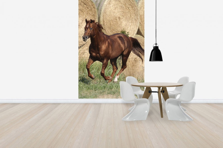 PHOTOWALL / Quarter Horse in Front of Hay Bales (e29731)