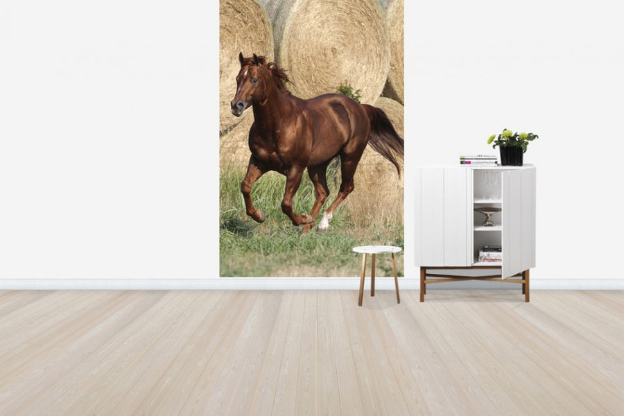 PHOTOWALL / Quarter Horse in Front of Hay Bales (e29731)