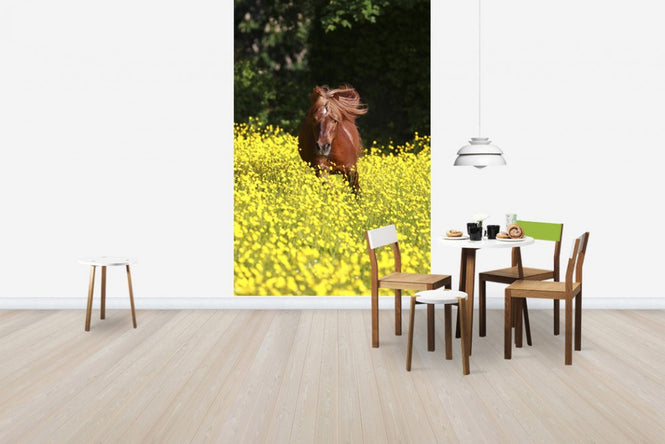 PHOTOWALL / Shetland Pony Running Through Buttercups (e29740)
