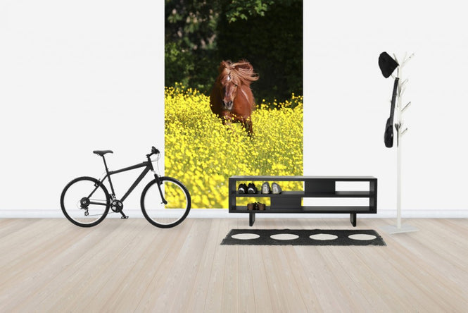 PHOTOWALL / Shetland Pony Running Through Buttercups (e29740)