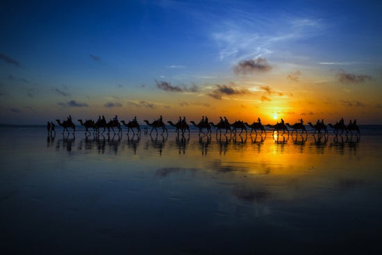 PHOTOWALL / Sunset Camel Ride (e29748)