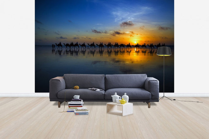 PHOTOWALL / Sunset Camel Ride (e29748)