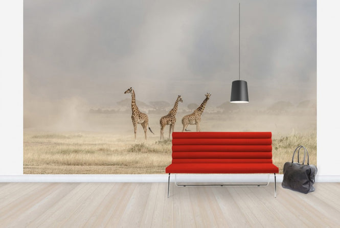 PHOTOWALL / Weathering the Amboseli Dust Devils (e29711)