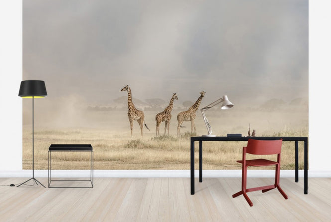 PHOTOWALL / Weathering the Amboseli Dust Devils (e29711)