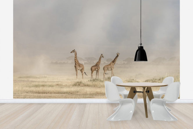 PHOTOWALL / Weathering the Amboseli Dust Devils (e29711)
