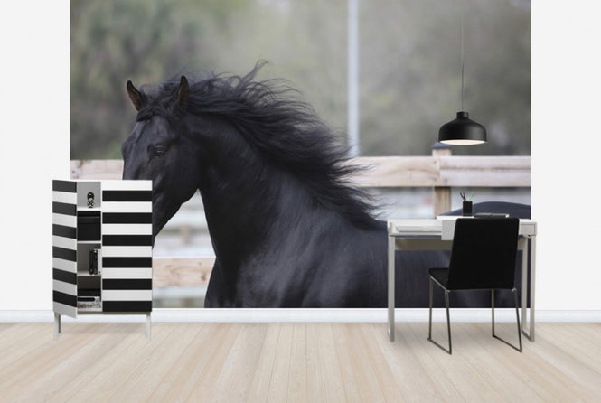 PHOTOWALL / Triunfador Horse (e29757)