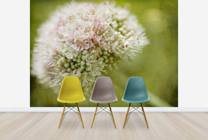 PHOTOWALL / Vintage Pink Flower (e29781)