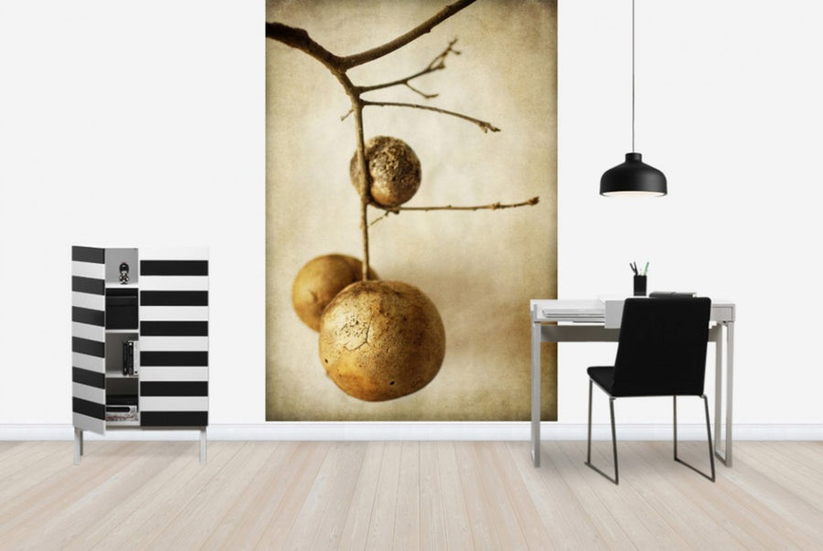 PHOTOWALL / Vintage Oak Pods (e29785)