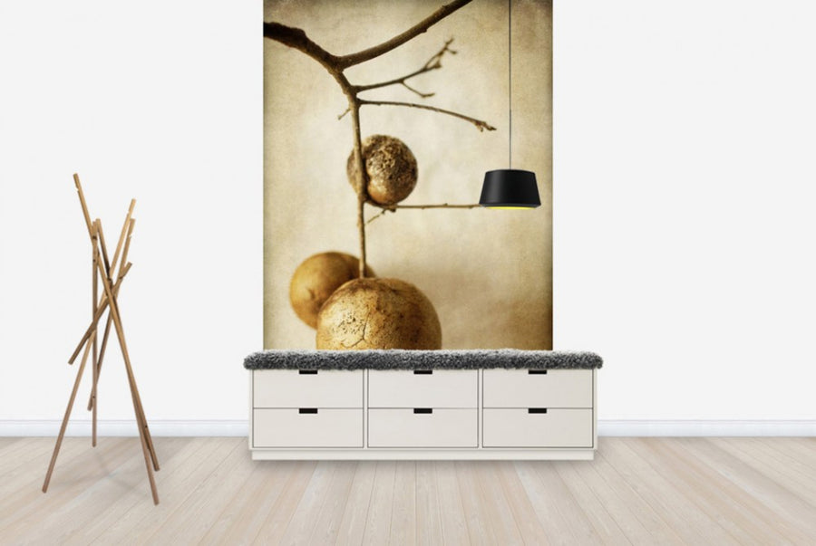 PHOTOWALL / Vintage Oak Pods (e29785)